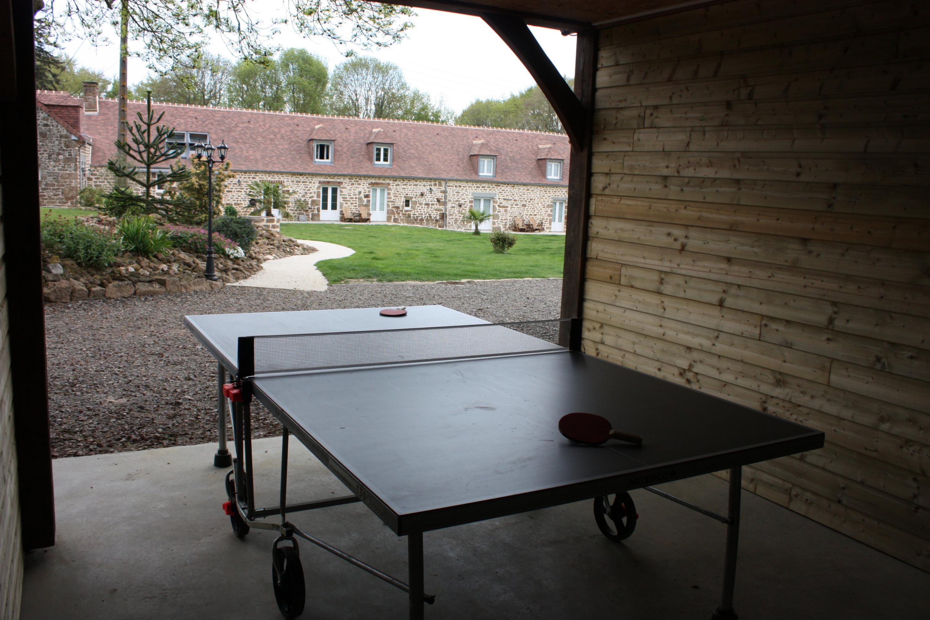 table ping-pong